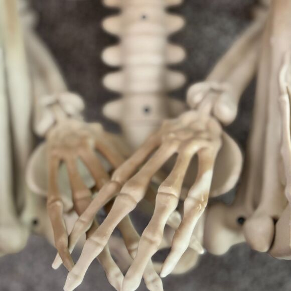 New Set Of 2 Jointed 3'Ft. Tall Hanging Skeletons w/ Strobe Light - Picture 4 of 6